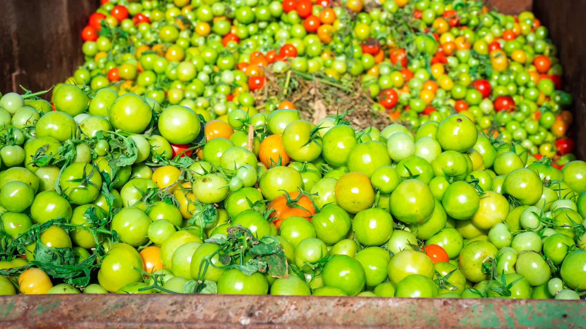 The Food System’s Hidden Flaw